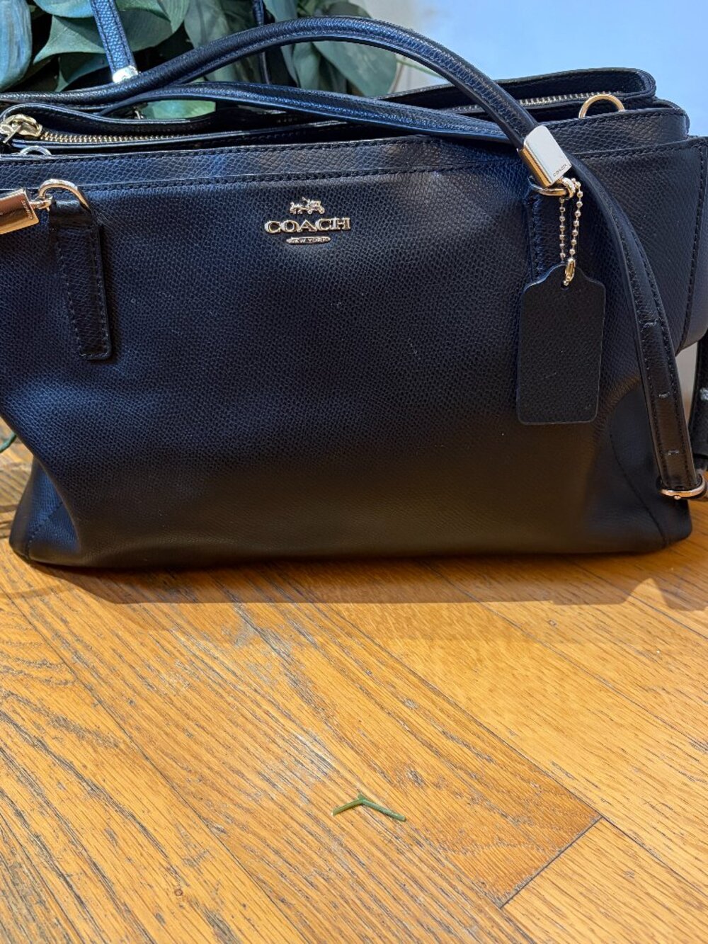Coach Christie Carryall Black